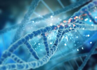 Tessera Layoffs: How It Affects the Industry Tessera Layoffs