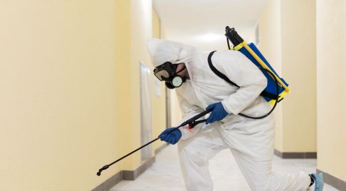 Cockroach Labs Layoffs: Employee Reactions & Next Steps Cockroach Labs Layoffs