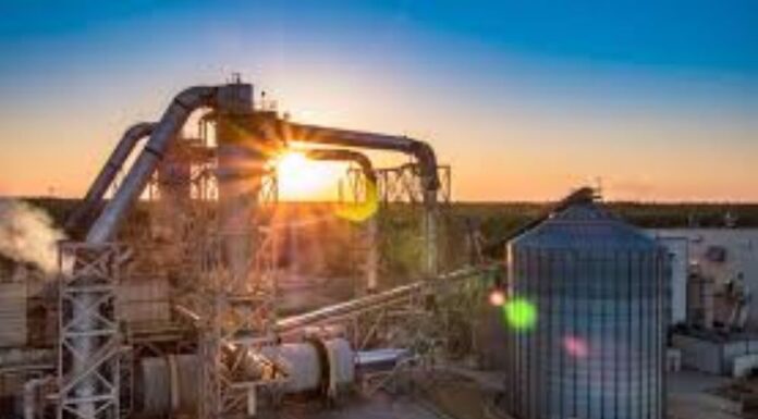 Enviva News Layoffs: Latest Updates & Employee Impact Enviva News Layoffs