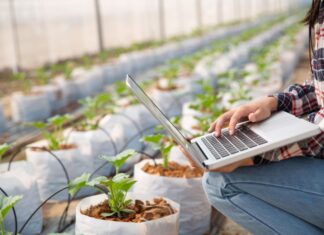 Indigo Ag Layoffs: Navigating the Changes Indigo Ag Layoffs