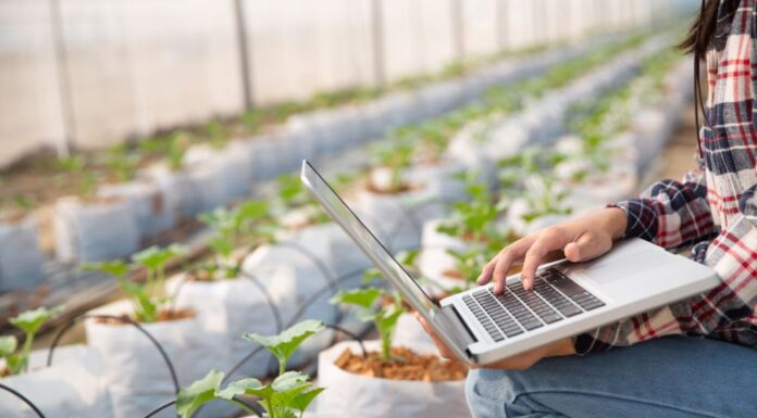 Indigo Ag Layoffs: Navigating the Changes Indigo Ag Layoffs