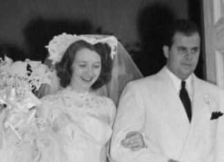 Diana Ruth Casey: Explore All Here! Diana Ruth Casey