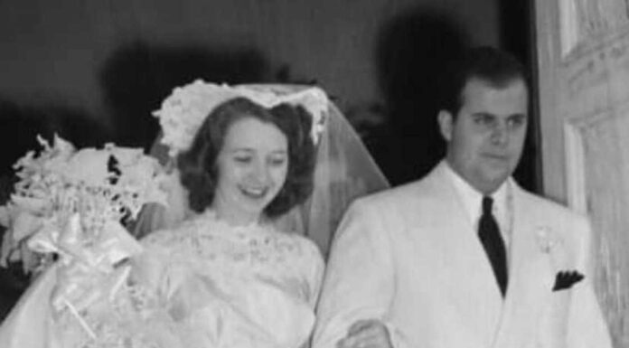 Diana Ruth Casey: Explore All Here! Diana Ruth Casey