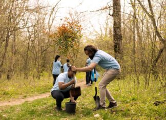 8 Ways Social Workers Impact Communities and Improve Lives 8 Ways Social Workers Impact Communities and Improve Lives