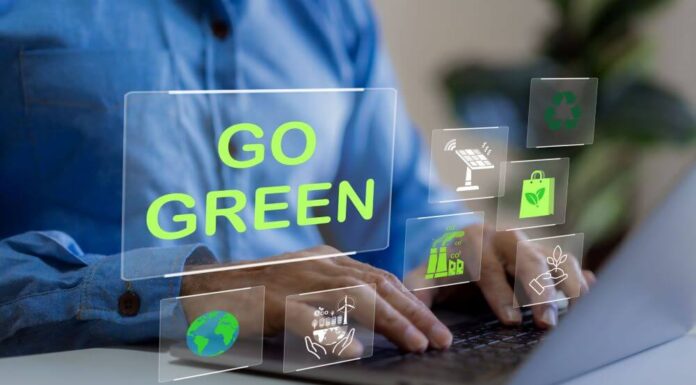 Beating The Competition With Sustainable Business Practices Beating The Competition With Sustainable Business Practices